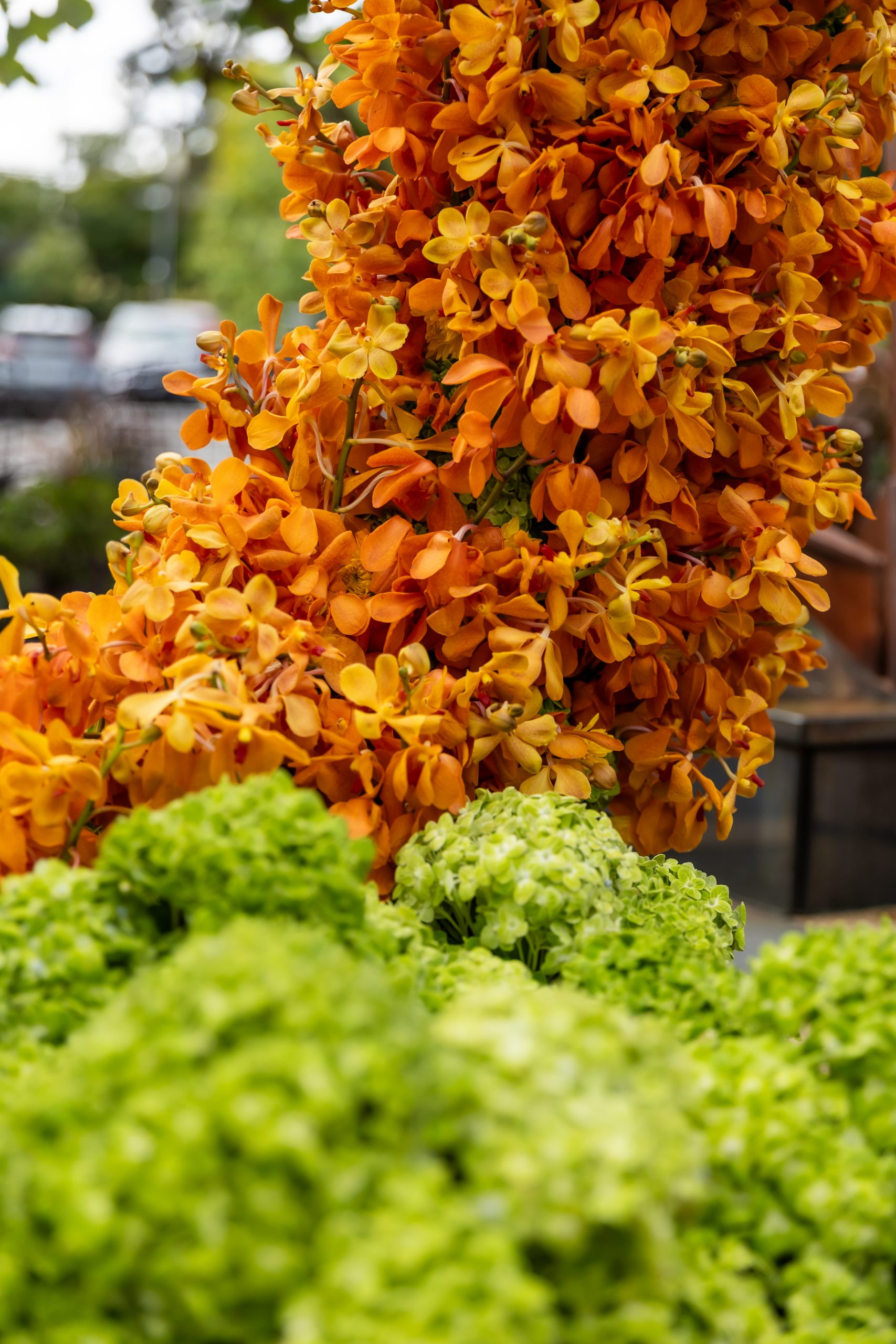 Close-up of orange flowers covering the band of Pedestals’ floral ring installation.